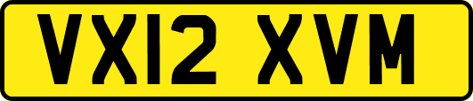 VX12XVM