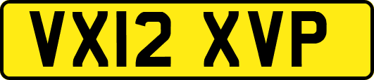 VX12XVP