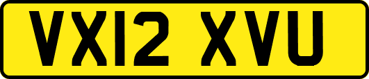 VX12XVU