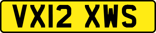 VX12XWS