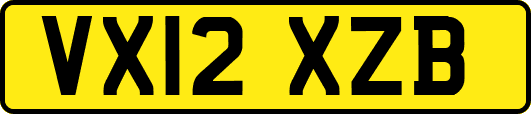 VX12XZB