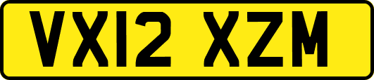 VX12XZM