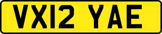 VX12YAE
