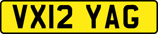 VX12YAG
