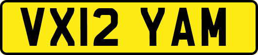 VX12YAM
