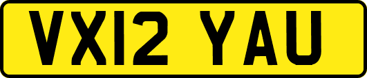 VX12YAU
