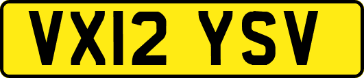 VX12YSV
