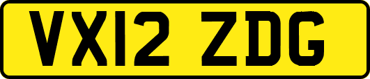 VX12ZDG