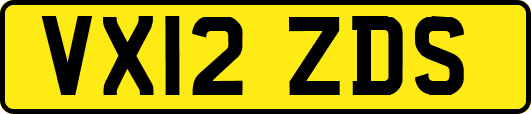VX12ZDS
