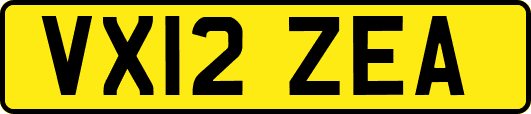 VX12ZEA