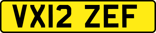 VX12ZEF