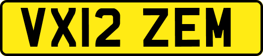 VX12ZEM