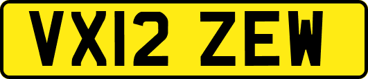VX12ZEW
