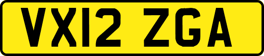 VX12ZGA