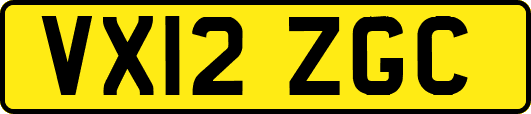 VX12ZGC