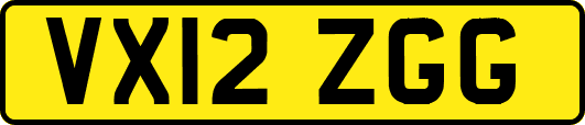 VX12ZGG