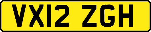 VX12ZGH