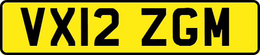 VX12ZGM