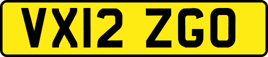 VX12ZGO