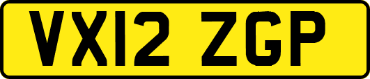 VX12ZGP