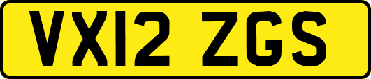 VX12ZGS