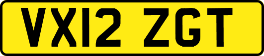 VX12ZGT
