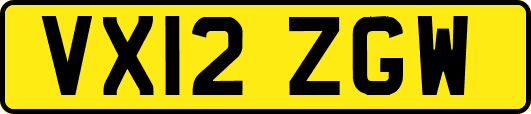 VX12ZGW
