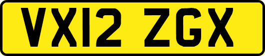 VX12ZGX