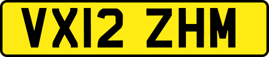 VX12ZHM