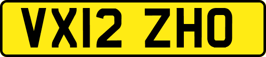 VX12ZHO