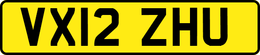 VX12ZHU