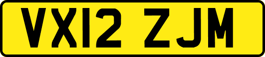 VX12ZJM