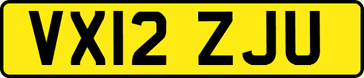 VX12ZJU