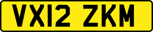 VX12ZKM