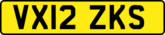 VX12ZKS