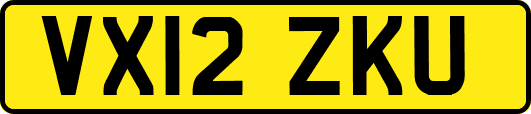 VX12ZKU