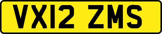 VX12ZMS