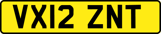 VX12ZNT