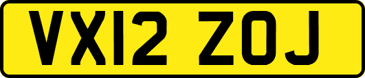VX12ZOJ