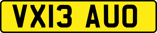 VX13AUO