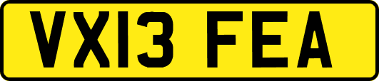 VX13FEA