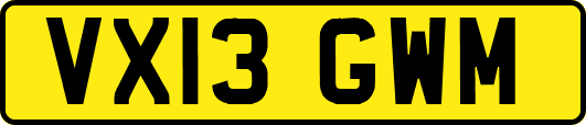VX13GWM