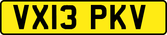 VX13PKV