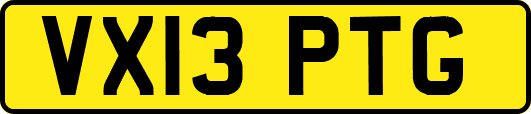 VX13PTG