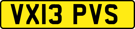 VX13PVS
