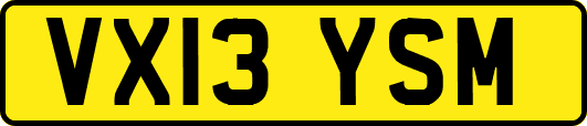 VX13YSM