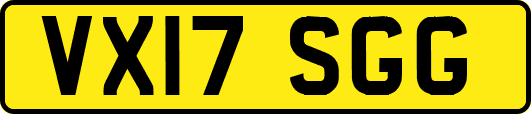 VX17SGG