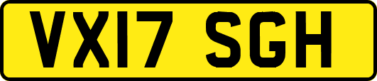 VX17SGH