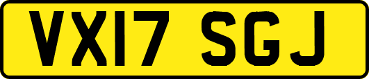 VX17SGJ