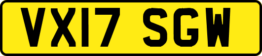 VX17SGW
